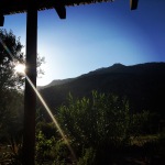 The view from the yoga terrace at the villa where we host the yoga retreat in Periana, Spain