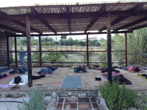 Yogis relaxing in Crocodile pose on the yoga terrace at the Lucyoga and Get Lost Retreats yoga retreat in Spain