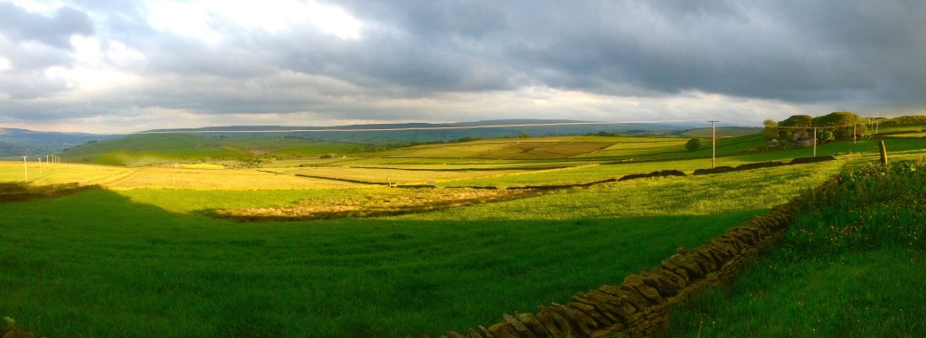 View over the hills from The Healthy Home