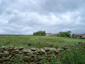 The Healthy Home is in a peaceful, and remote countryside setting, that is still easy to get to by train or car